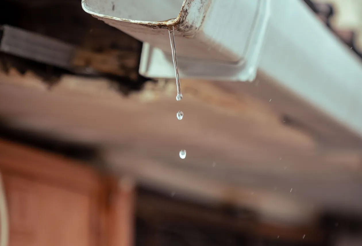Rainwater draining through a roof gutter